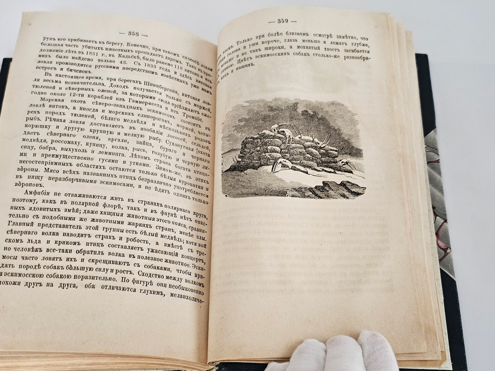 "Экспедиции Франклина в Полярные моря и поиски за ним. Мак-Клюр и Северо-Восточный проход. Мак-Клинток и найденные им следы Франклиновой экспедиции". 1872г.