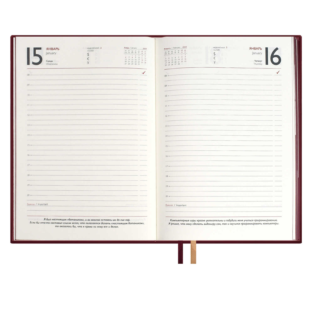 Ежедневник датированный 2025 ESCALADA, ИЛОН МАСК, А5, 176 л.,