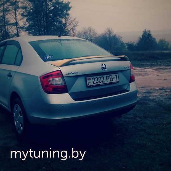 Спойлер фигурный для Skoda Rapid