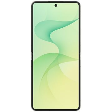 Смартфон Samsung Galaxy Z Flip8 12/256 ГБ Мятный