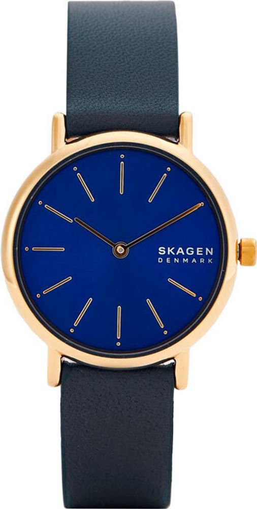 Женские наручные часы Skagen SKW2867