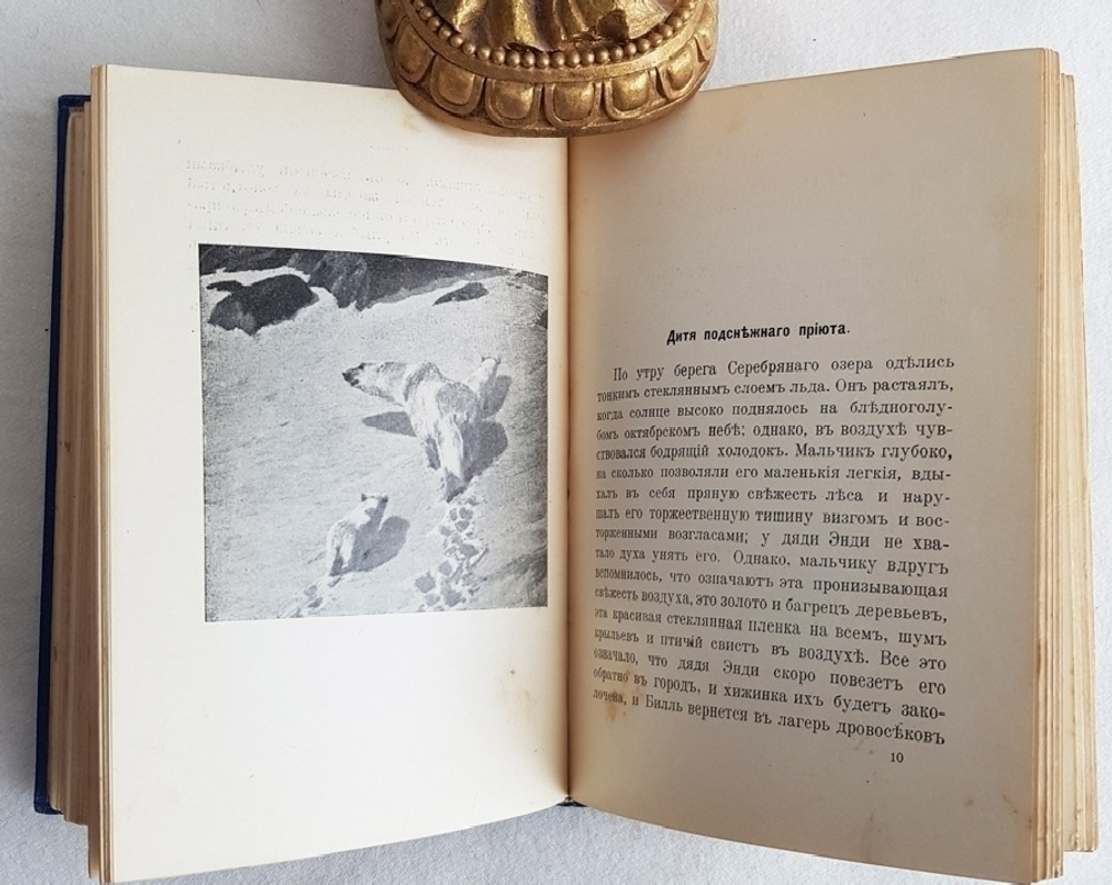 "Дети вод и лесов". Чарльз Робертс. 1915г. - антикварное издание