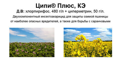 Инсектицид Ципи Плюс, КЭ (480+50 г/л)
