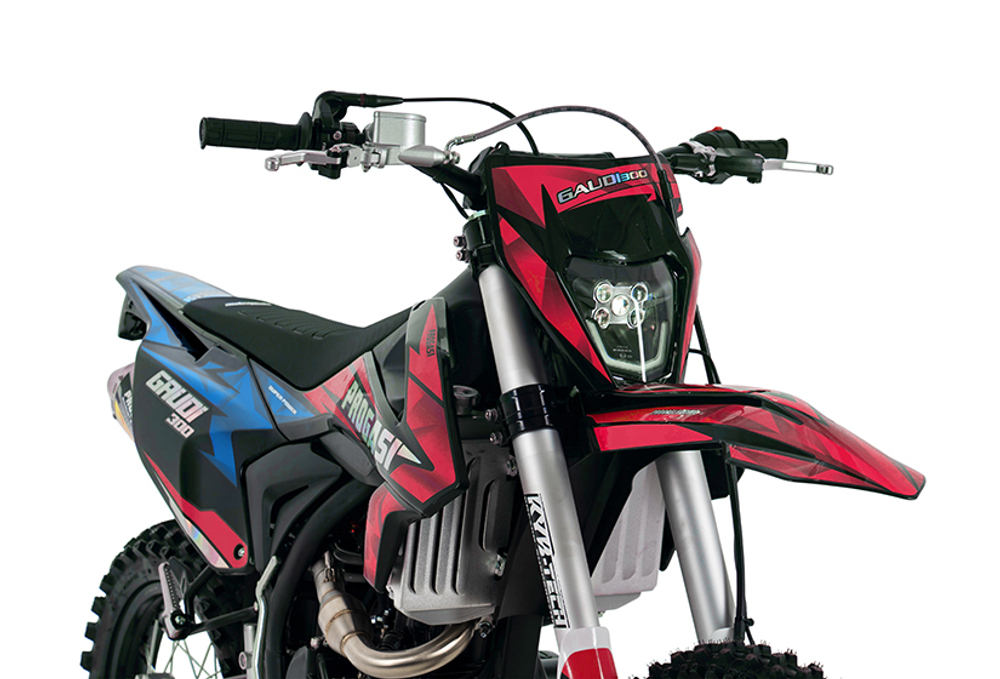 Мотоцикл PROGASI GAUDI 300