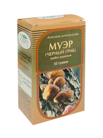 Муэр (чёрный гриб)