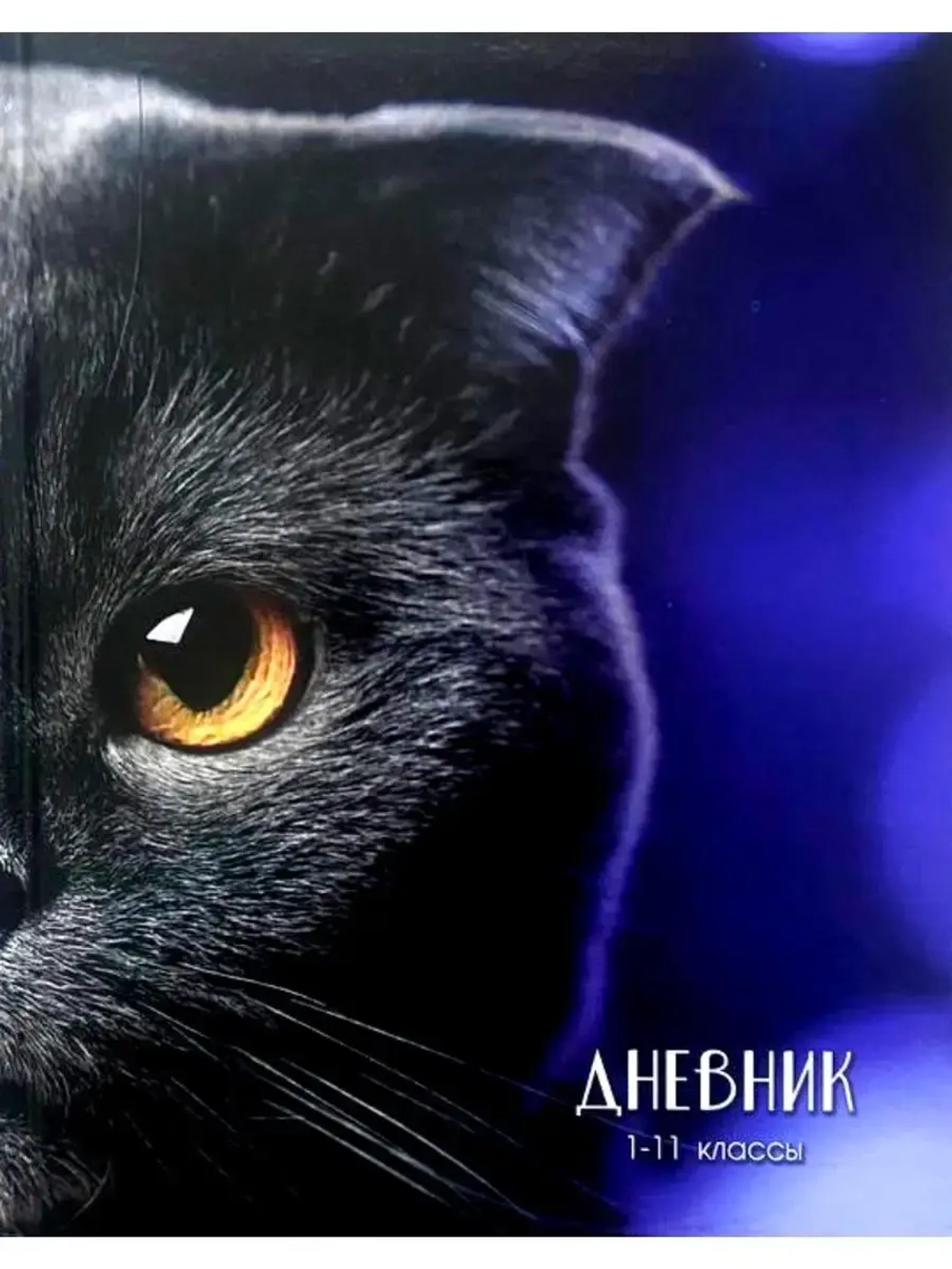 Дневник школьный со справочным материалом