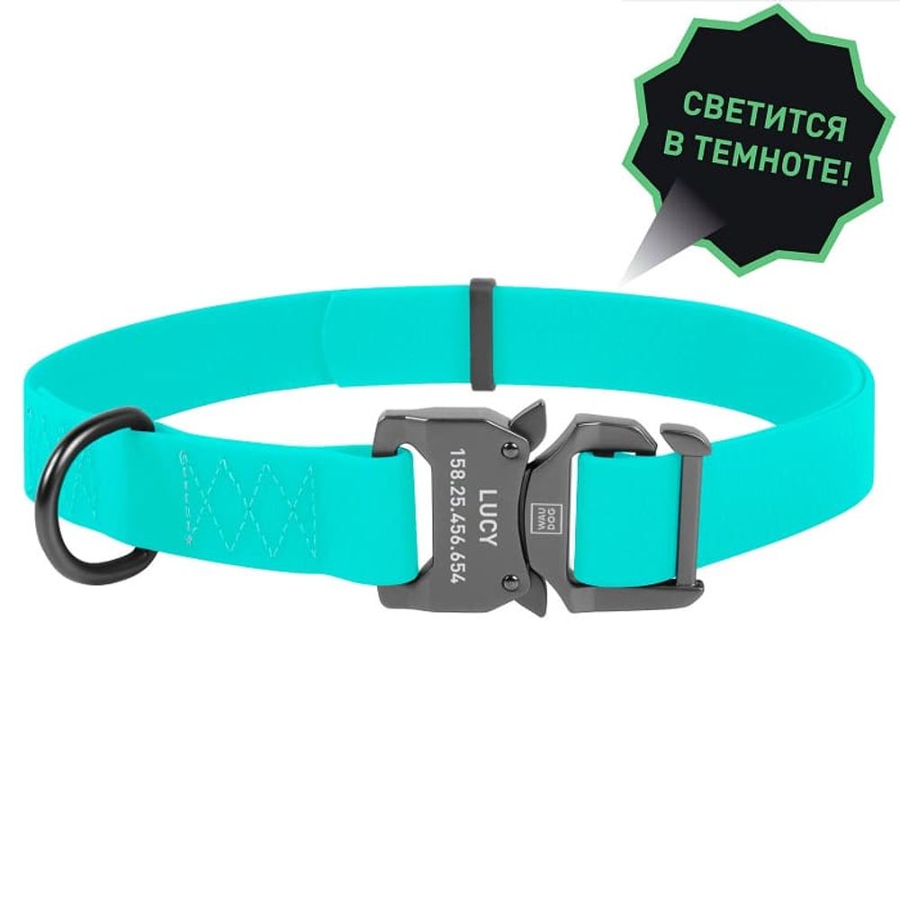 Ошейник WAUDOG Waterproof, светящийся, пряжка-фастекс (ширина 25 мм, длина 35-70 см) Ментоловый
