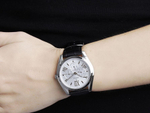 Мужские наручные часы Festina F16752/1
