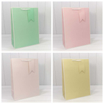 Пакет подарочный 32х45х15см Премиум однотонный в рамке (Микс)