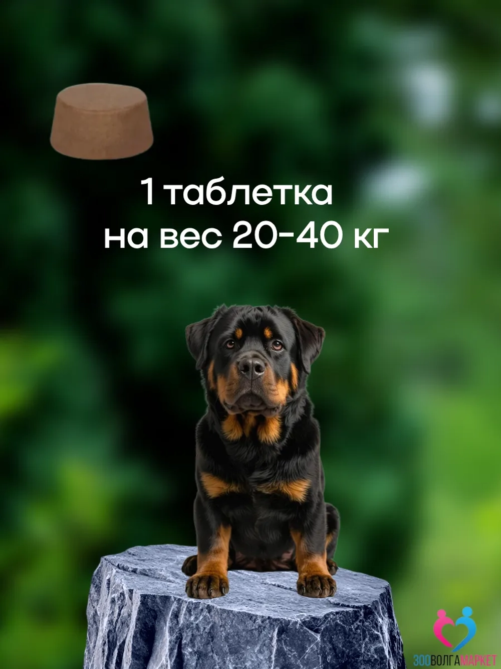 Бравекто для собак 20-40 кг, против блох и клещей