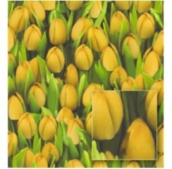 Обои 416730W Decoration виниловые на бум основе 0,53х10м