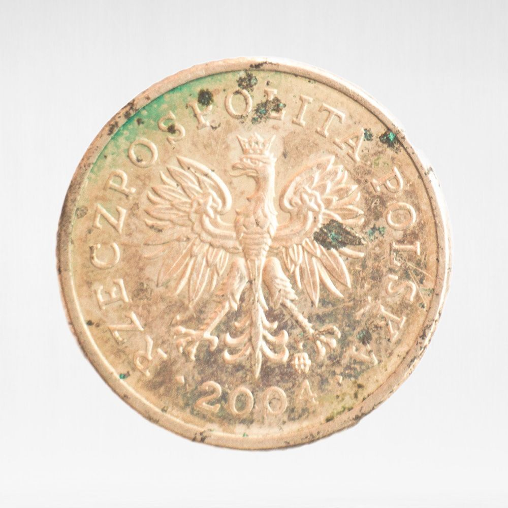 Poland, 10 Groszy, 2004, F