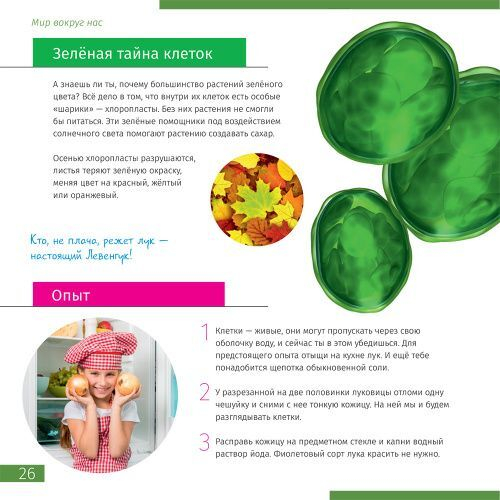 Микроскоп Levenhuk Discovery Micro Marine с книгой