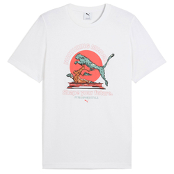 Футболка мужская PUMA GRAPHICS PUMA Bonsai Tee