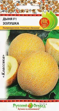 Дыня семена Алтая