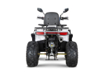 Квадроцикл YACOTA Viking 200 Pro