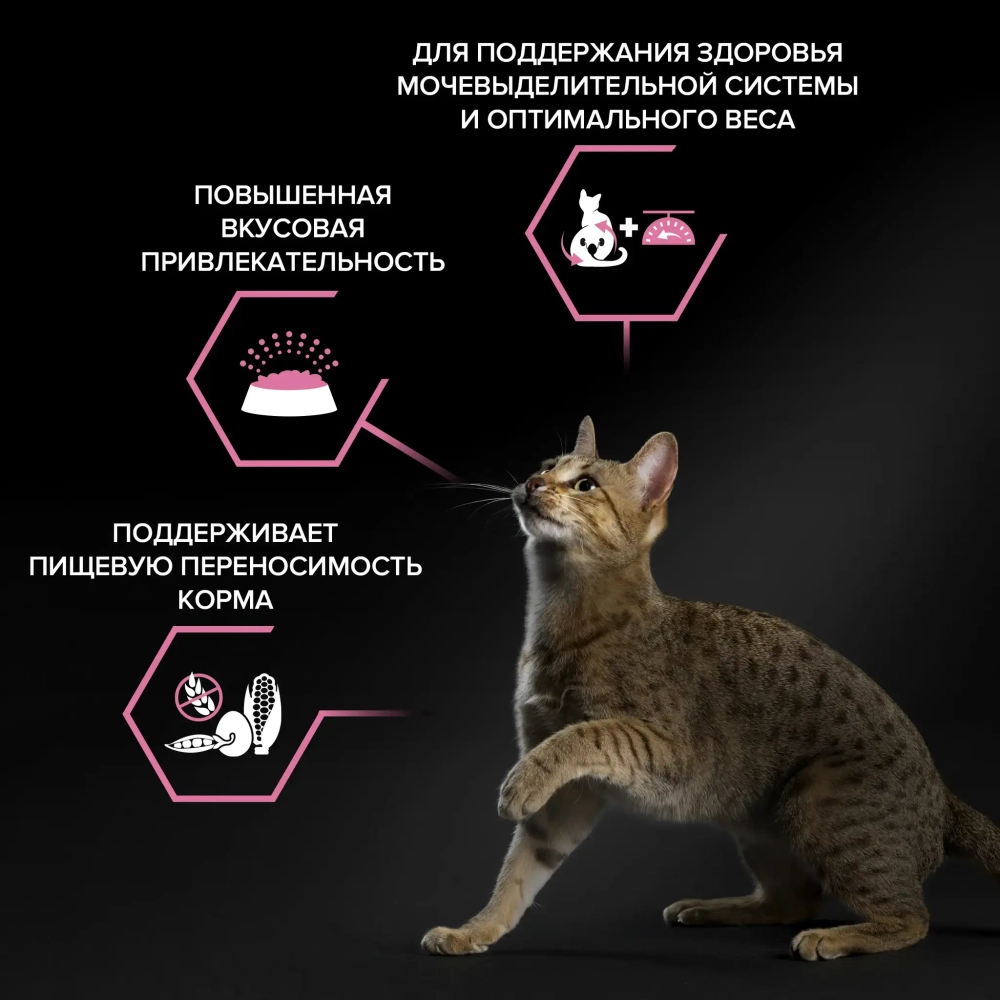 Сухой корм для взрослых стерилизованных кошек с чувствительным пищеварением Pro Plan Sterilised Delicate Digestion с курицей 400 г