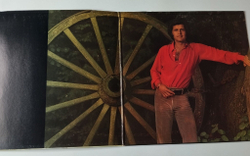 Винтажная виниловая пластинка LP Joe Dassin (Holland 1972) Salut Les Amoureux