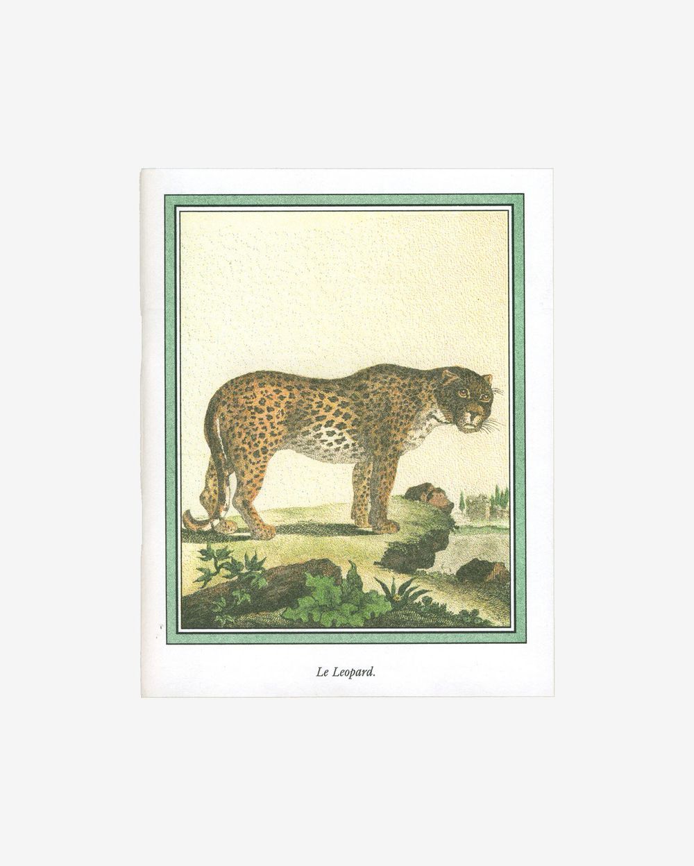 Блокнот Esh Print Le Leopard