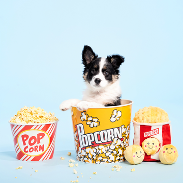 Развивающая игрушка Zippy Burrow Ведро попкорна ZippyPaws