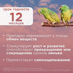 АВЗ Радостин Антистресс для голубей, декоративных и певчих птиц, раствор для орального применения, 20 мл. Витамин А.