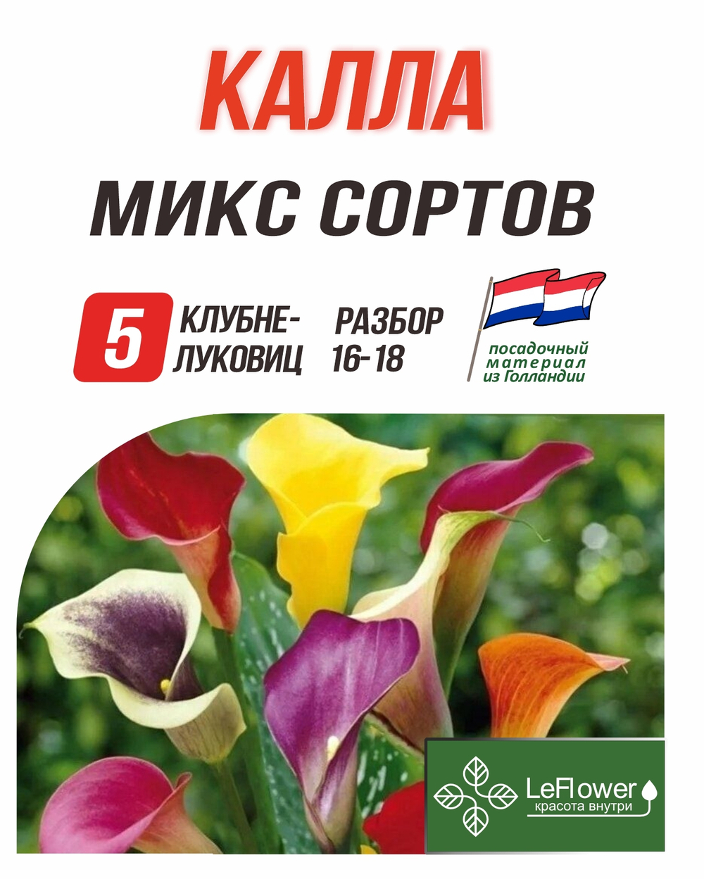 Калла клубнелуковица, Микс сортов, 5шт.