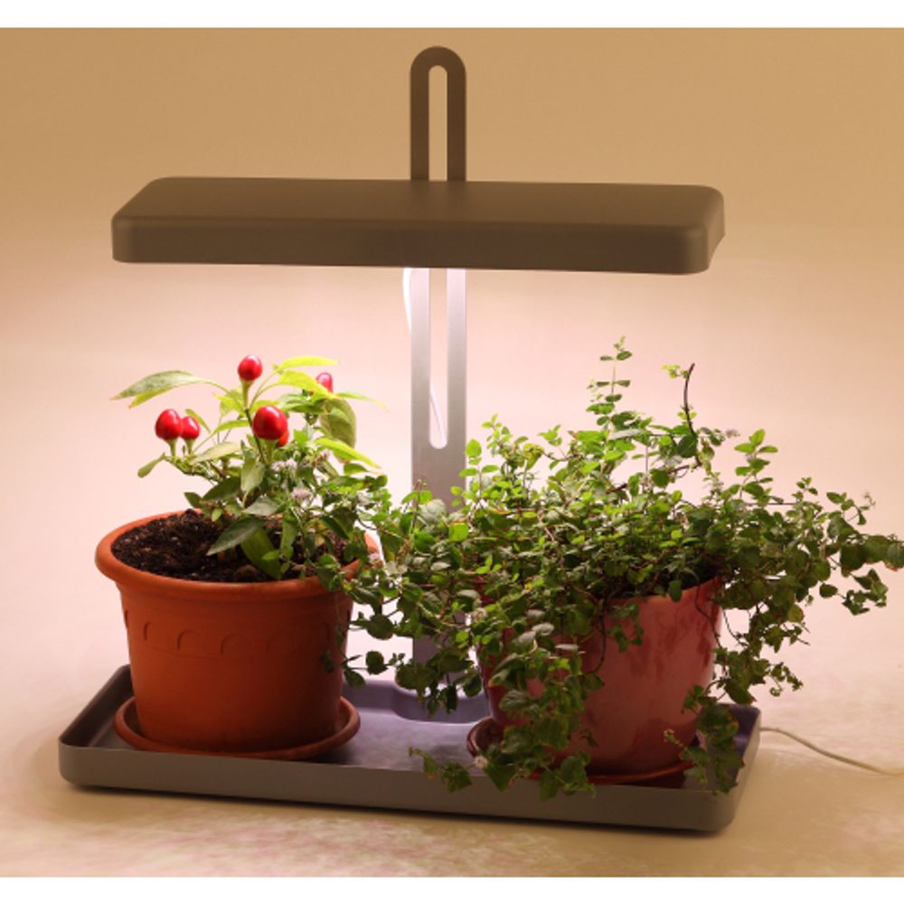 Настольный светильник для растений ЭРА FITO-20W-QLED-G полного спектра 20 Вт серый