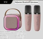 Колонка с микрофоном