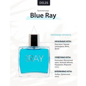 Туалетная вода DILIS BLUE RAY, мужской, восточно-фужерный аромат