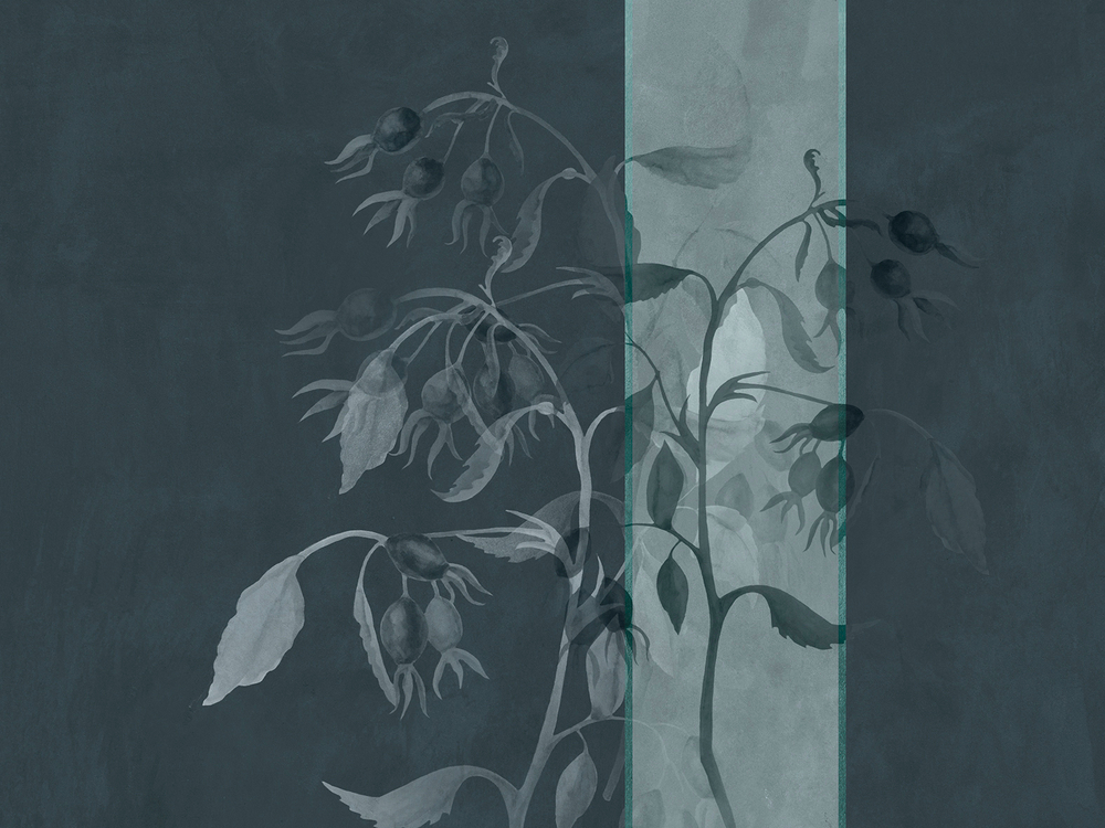 Коллекция BELLA