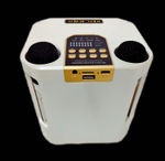 Беспроводная колонка-караоке Sound quality (10W/TF/USB) S882