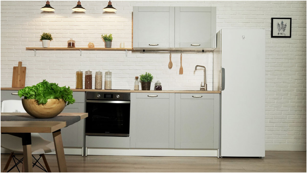 Морозильная камера INDESIT DSZ 5175 G
