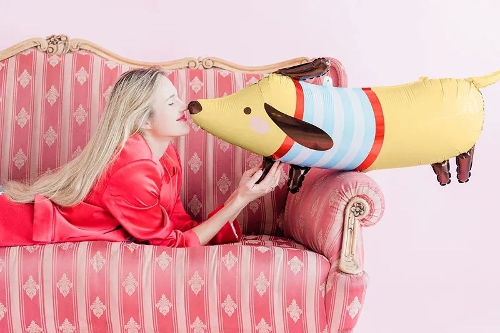 Шар (35''/89 см) Фигура, Таксик в свитере, 1 шт.