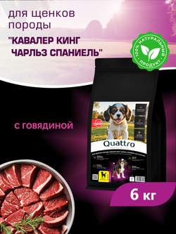 Quattro корм для щенков породы Кавалер кинг чарльз спаниель, с говядиной, 6 кг, QUATTRO