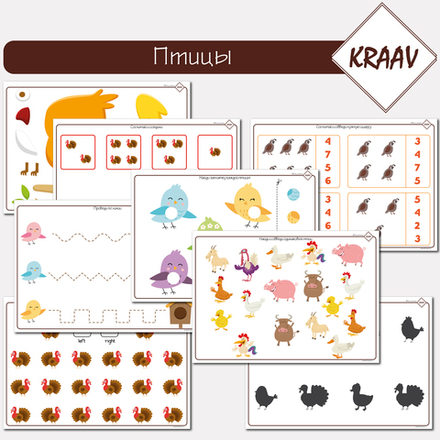 Тематический комплект игр для детей 3-4 лет "Птицы", счет и проводилки