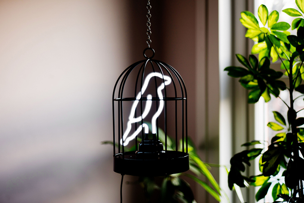 Светильник неоновый bird in a cage