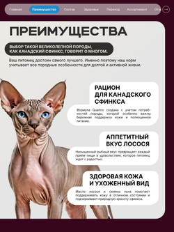 Корм сухой для взрослых кошек породы Канадский сфинкс, с лососем, 400 гр, QUATTRO