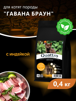 Корм сухой для котят породы Гавана браун, с индейкой, 400 гр, QUATTRO