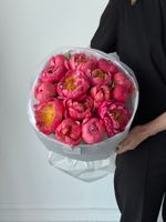 Букет из пионов сорта Корал Шарм 15 шт