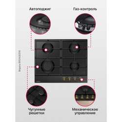 Газовая панель Hansa BHGA630390