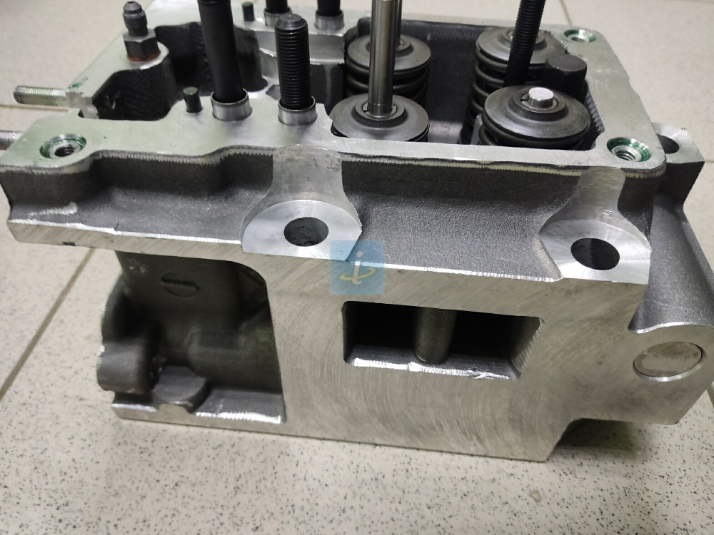 Головка цилиндров с клапанами 840.1003010-20