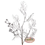 Ветка хвойная «Сияние зимы» 67 см, Серебро