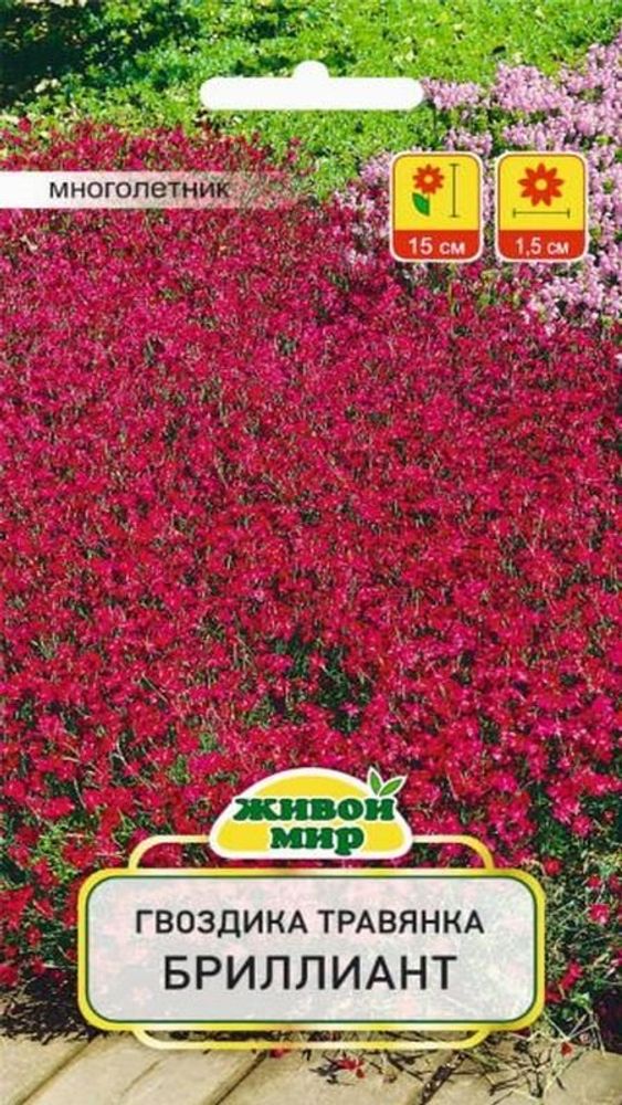 Гвoздикa травянка "ЖМ. Бpиллиaнт" 0,2г., Польша.