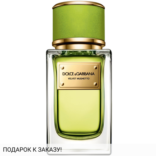 Dolce and Gabbana Velvet Mughetto