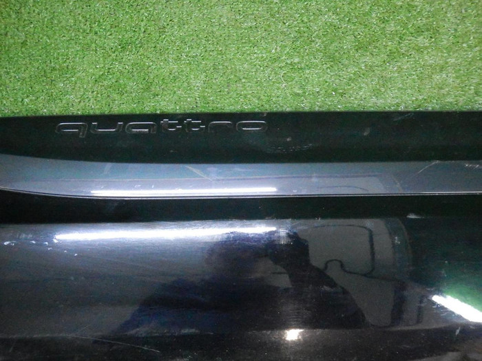 DSCN4299.JPG
