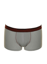 Мужские трусы-боксеры из микромодала (Размер: XL) (Цвет: серый)
