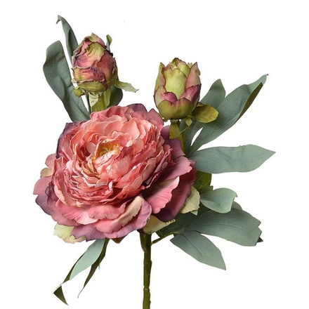 Пион с бутонами античный красный 62см