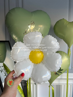 Набор фольгированных шаров Эвкалипт