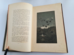 "С севера на юг. Путевые воспоминания старого журавля". Н.Н.Каразин. 1899 г.