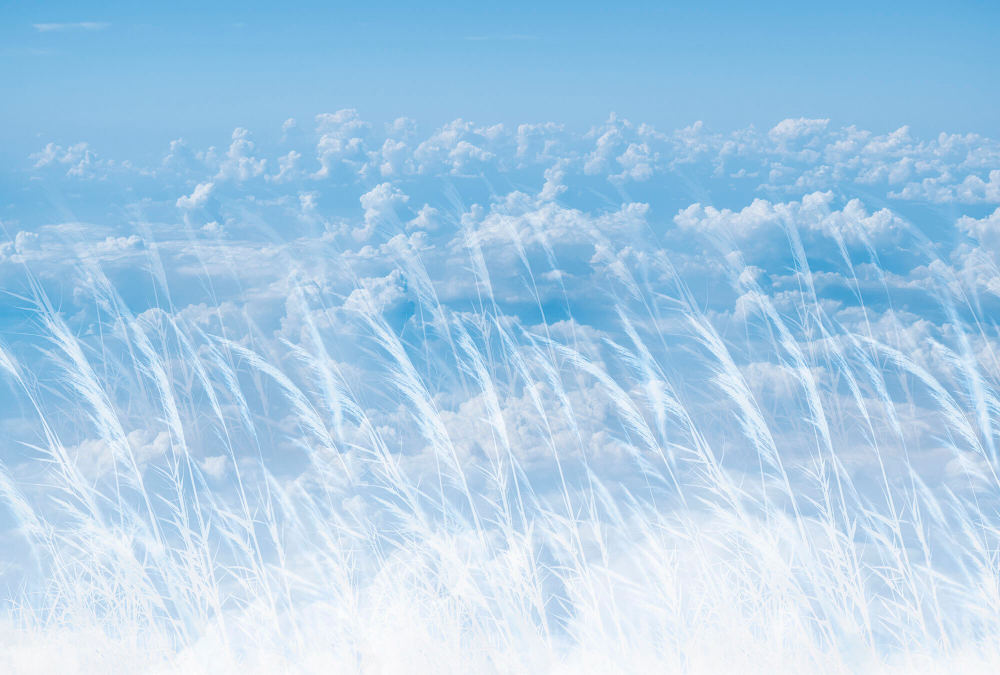 Коллекция Relax